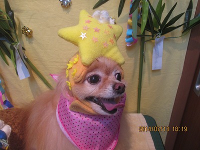 ファイル 7662-3.jpg