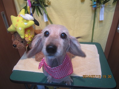 ファイル 7663-2.jpg