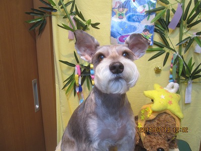 ファイル 7664-2.jpg