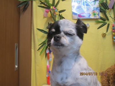 ファイル 7665-2.jpg