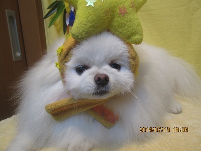 ファイル 7666-1.jpg