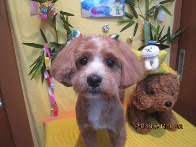 ファイル 7667-1.jpg