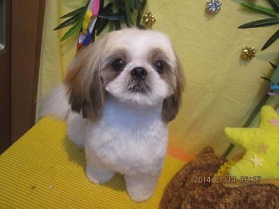 ファイル 7668-1.jpg