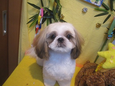 ファイル 7668-2.jpg