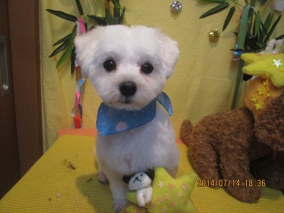 ファイル 7669-1.jpg