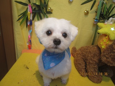 ファイル 7669-2.jpg