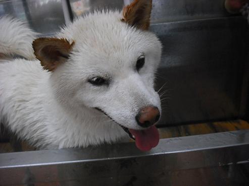 ファイル 767-2.jpg