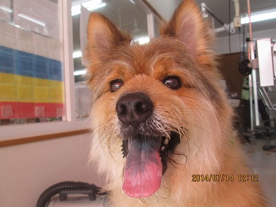 ファイル 7670-1.jpg