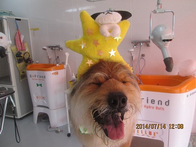 ファイル 7670-2.jpg