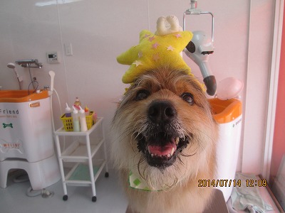 ファイル 7670-3.jpg