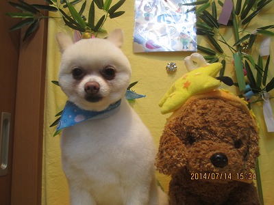 ファイル 7671-2.jpg