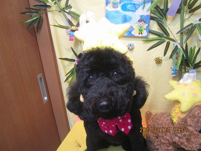 ファイル 7672-1.jpg