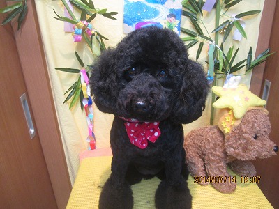 ファイル 7672-2.jpg