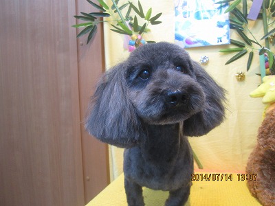 ファイル 7673-1.jpg