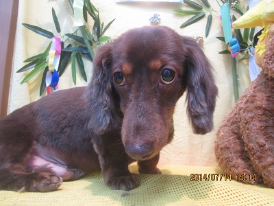 ファイル 7674-2.jpg