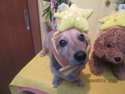 ファイル 7675-1.jpg