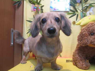 ファイル 7675-2.jpg