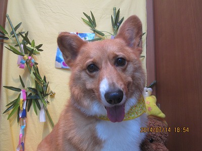 ファイル 7676-2.jpg