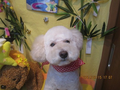 ファイル 7678-1.jpg