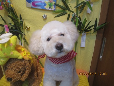 ファイル 7678-2.jpg