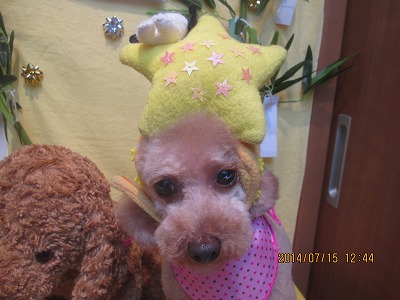 ファイル 7679-1.jpg