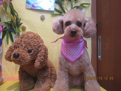 ファイル 7679-2.jpg