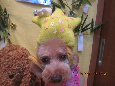 ファイル 7679-3.jpg