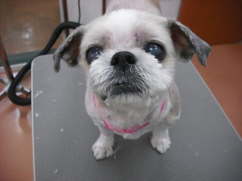 ファイル 768-1.jpg