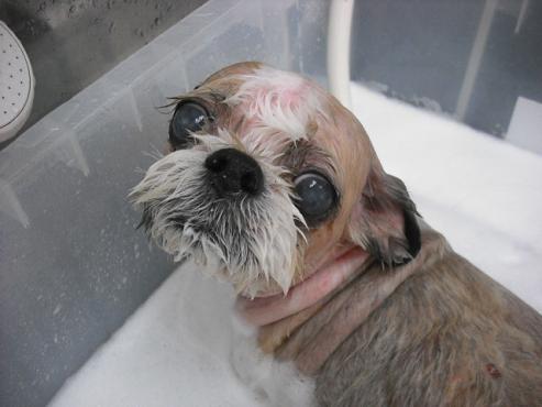 ファイル 768-2.jpg