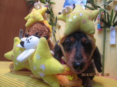 ファイル 7680-1.jpg