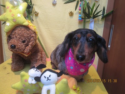 ファイル 7680-2.jpg