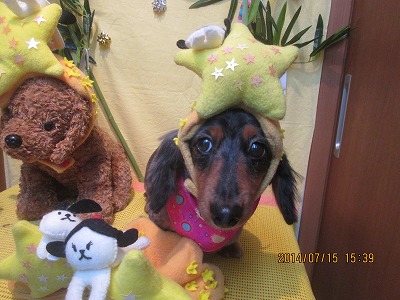 ファイル 7680-3.jpg