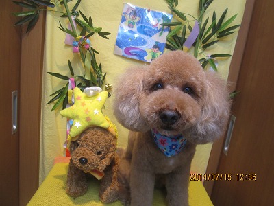 ファイル 7681-2.jpg