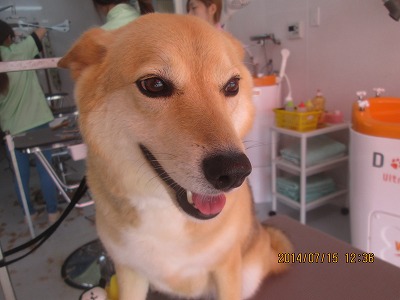 ファイル 7682-2.jpg