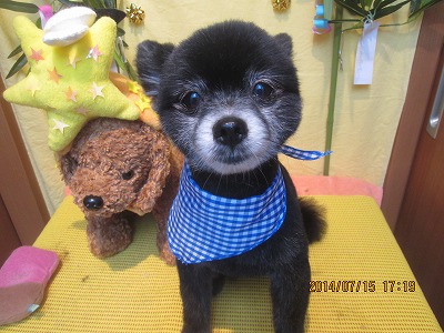 ファイル 7683-1.jpg