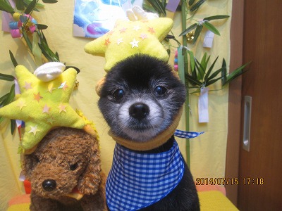 ファイル 7683-2.jpg