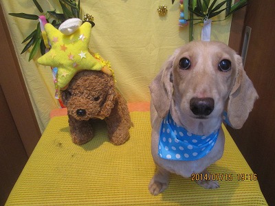 ファイル 7684-2.jpg