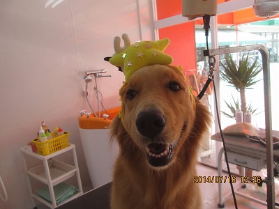 ファイル 7685-1.jpg