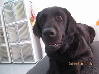 ファイル 7686-2.jpg