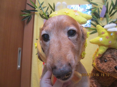 ファイル 7688-1.jpg