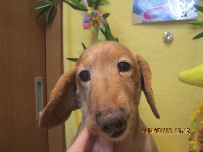 ファイル 7688-2.jpg