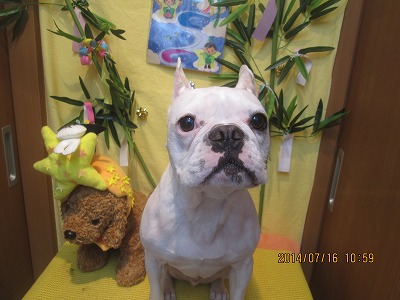 ファイル 7689-1.jpg