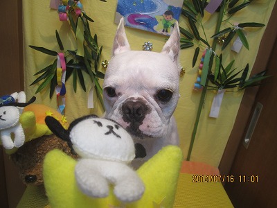 ファイル 7689-2.jpg