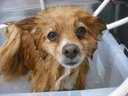 ファイル 769-2.jpg