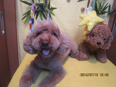 ファイル 7691-2.jpg