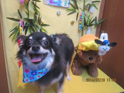 ファイル 7692-2.jpg