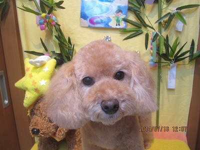 ファイル 7693-2.jpg