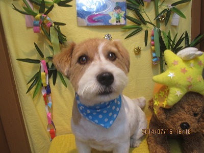 ファイル 7694-2.jpg