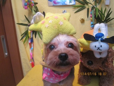 ファイル 7695-1.jpg