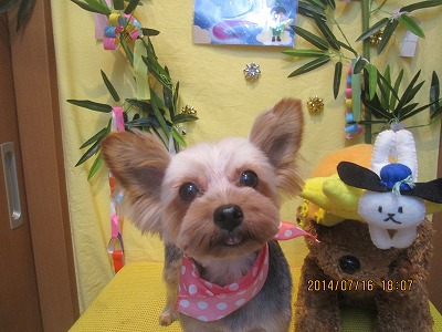 ファイル 7695-2.jpg